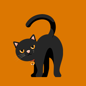 Black cat
