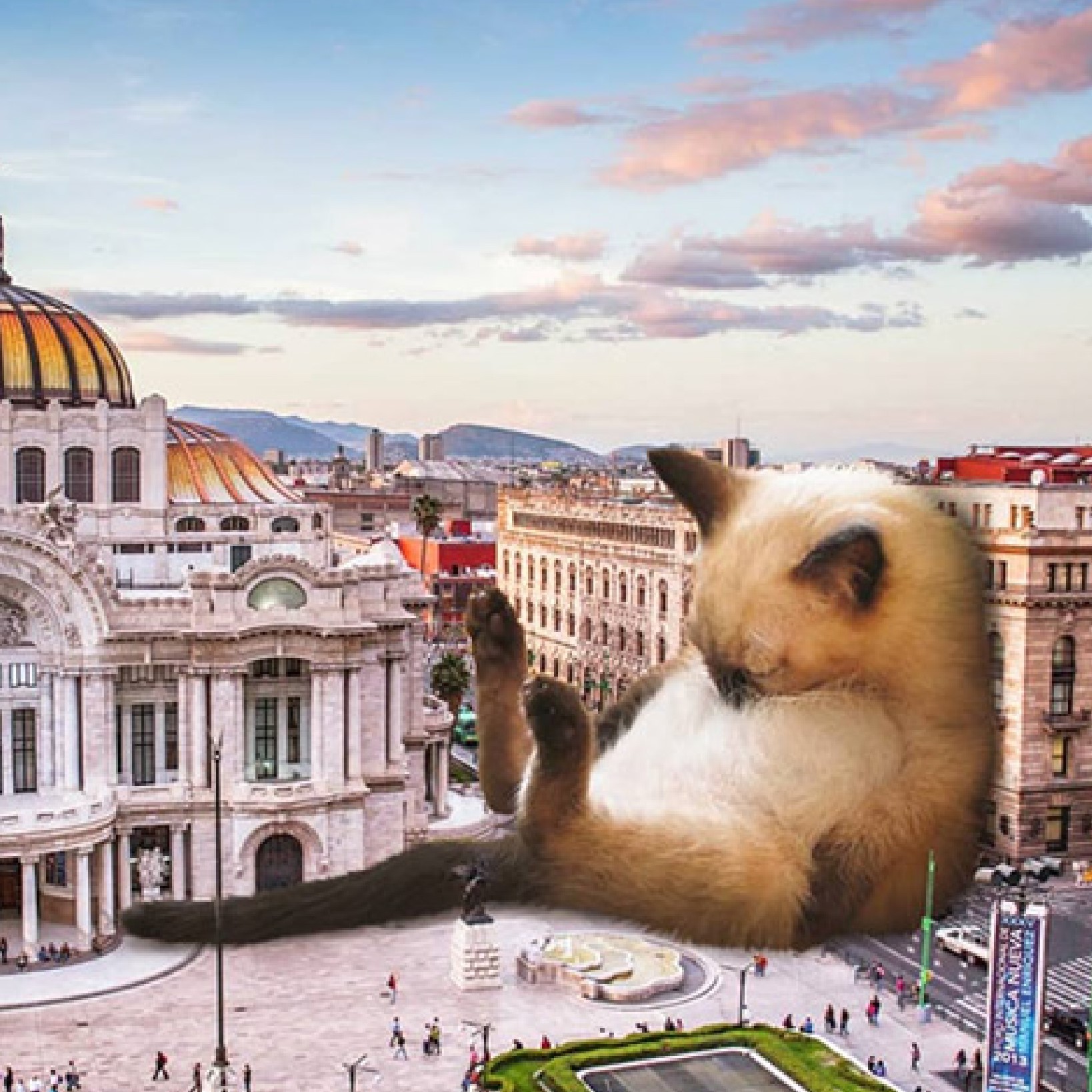 catsleepingatmuseum