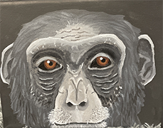 monkey